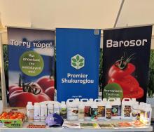 Φεστιβάλ Ντομάτας 