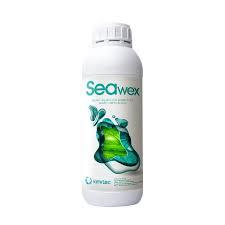 SEAWEX