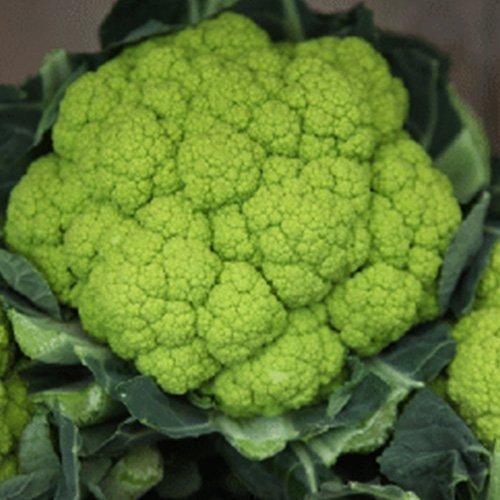 CAULIFLOWER GREEN STORM