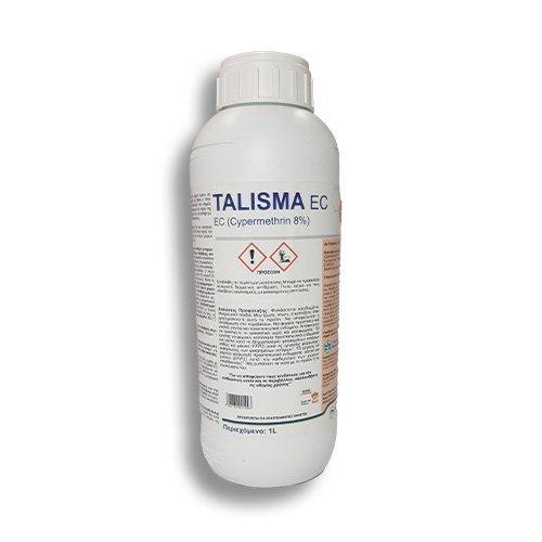 TALISMA EC