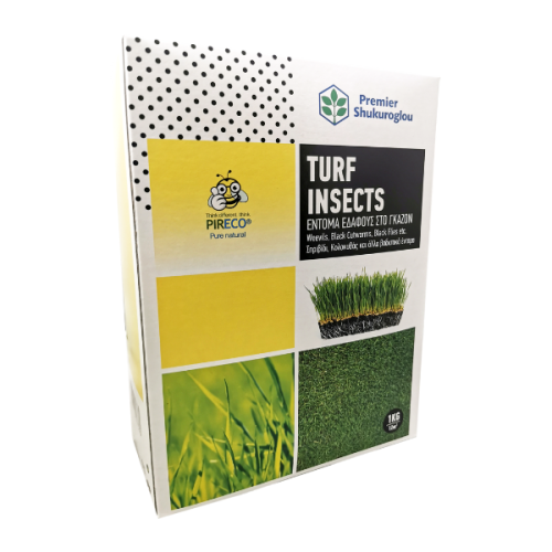 TURF INSECTS